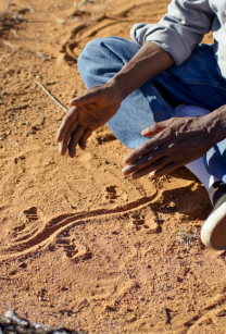 Robin Japanangka Granites on Arrernte Country