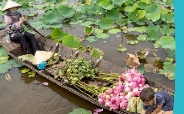 Vietnam Tourism