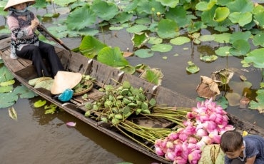 Bamboo boat